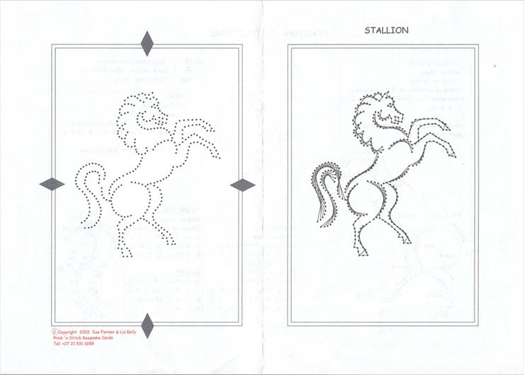 04 - Stallion pattern.jpg