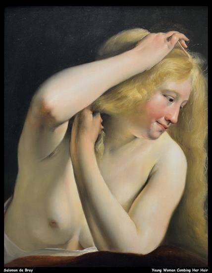 Louvre - salomon-de-bray---young-woman-combing-her-hair--jpb_15229587108_o.jpg